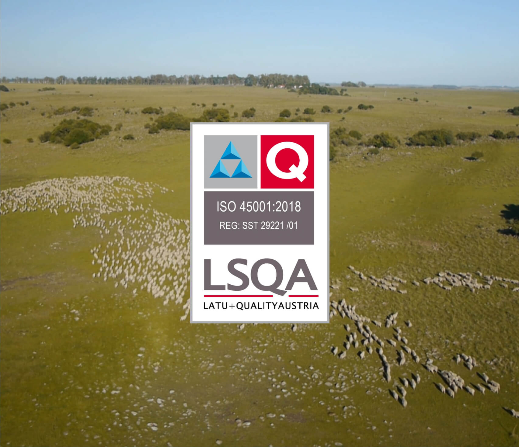 ISO 45001:2018 Certification