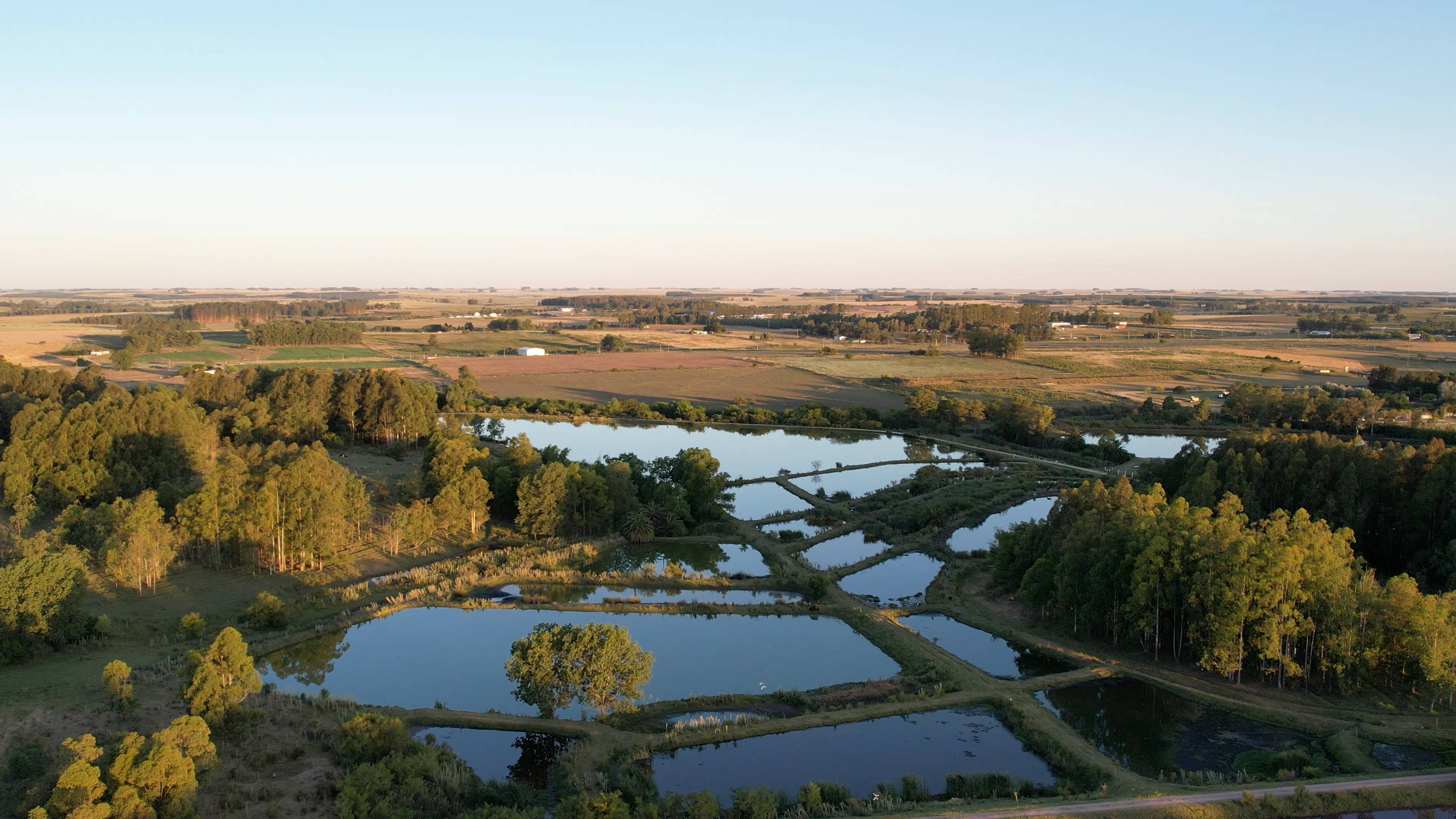 Industrial Effluent <br /> Treatment Service