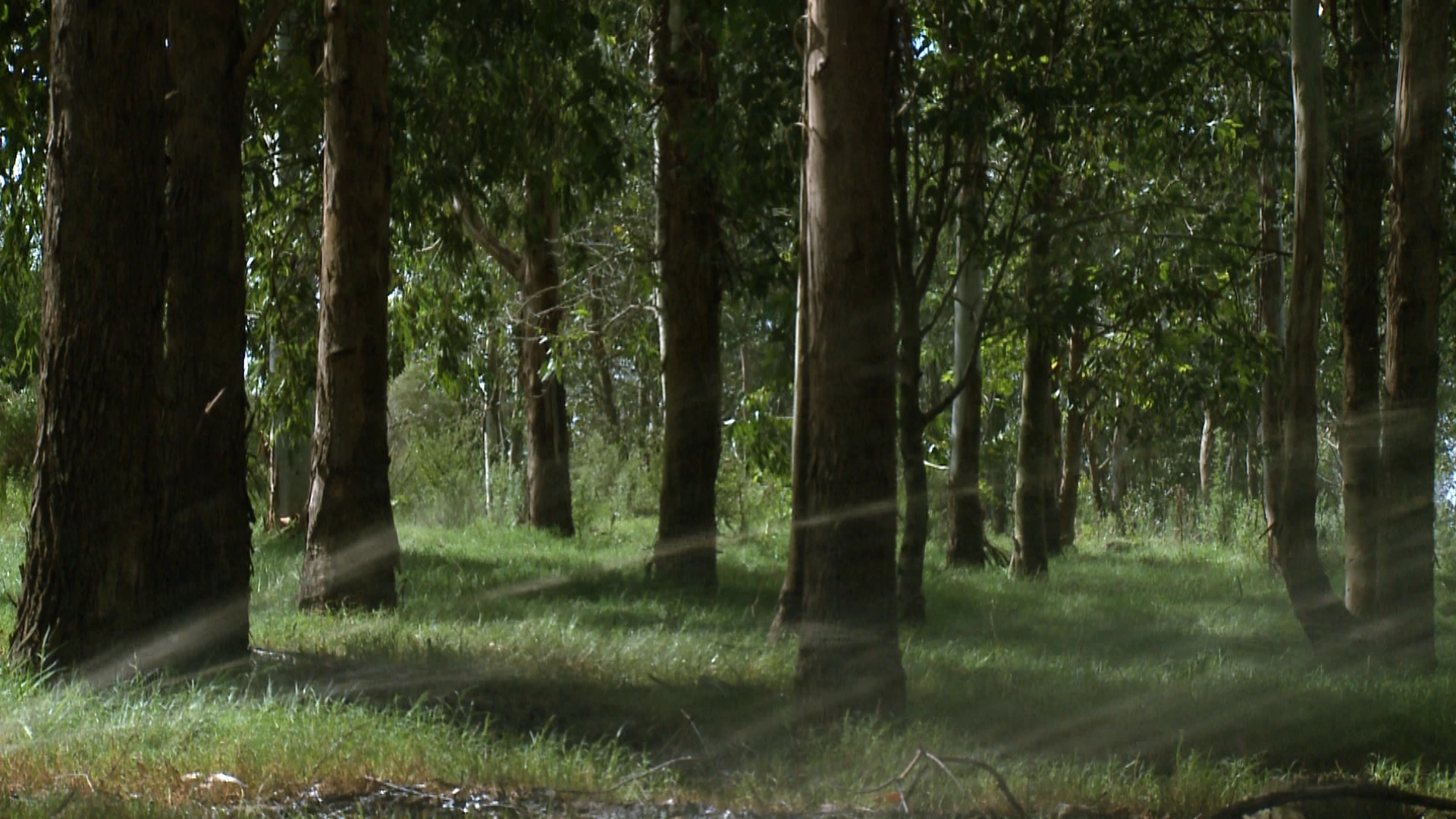 Circular<br />Economy