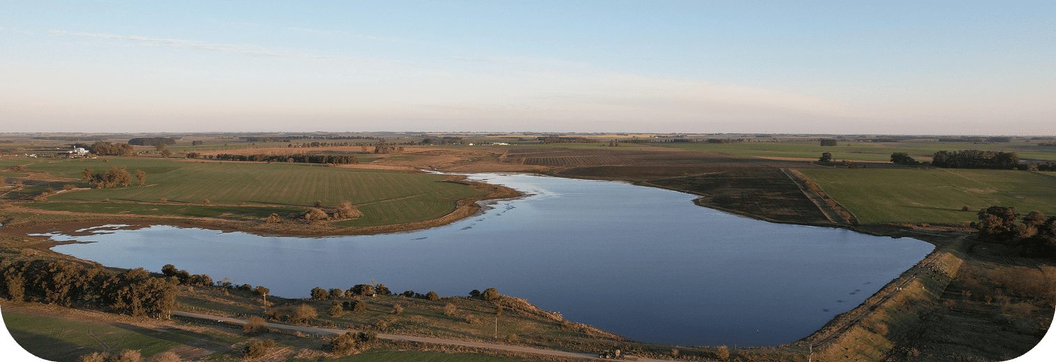 Sustainability Strategy