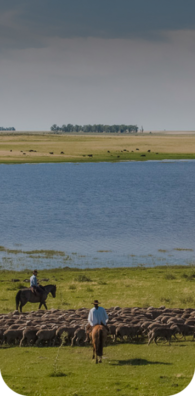 Sustainable production in harmony with the environment