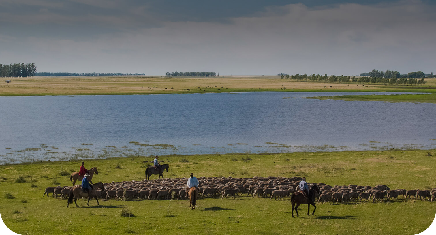 Sustainable production in harmony with the environment