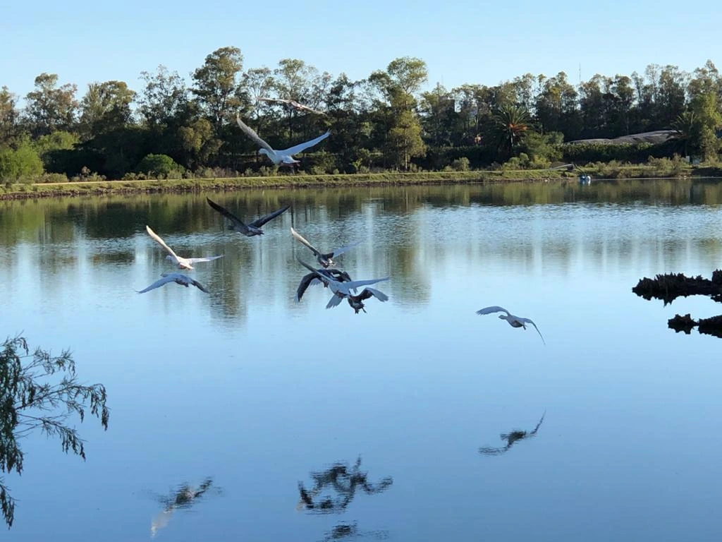 Environment <br />and climate<br /> change