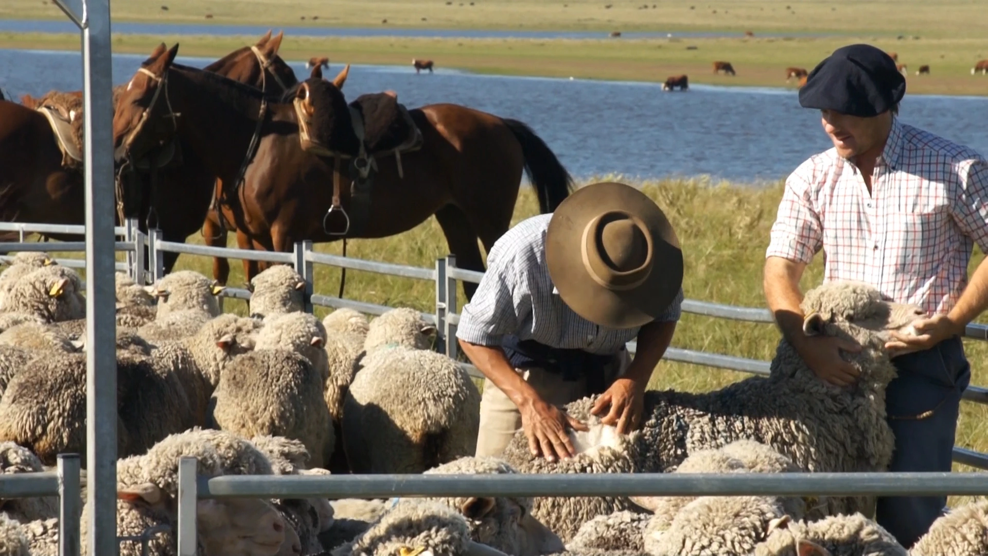 RSE <span>Corporate <br /> Social Responsibility</span>